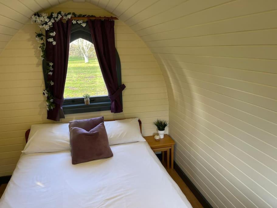Belle Vista Glamping & Camping York Esterno foto