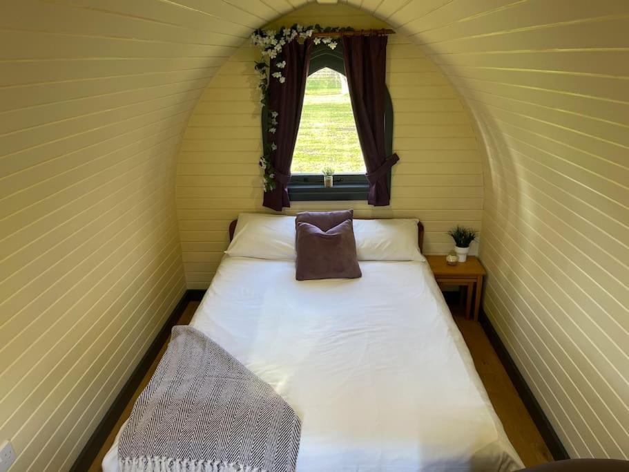 Belle Vista Glamping & Camping York Esterno foto