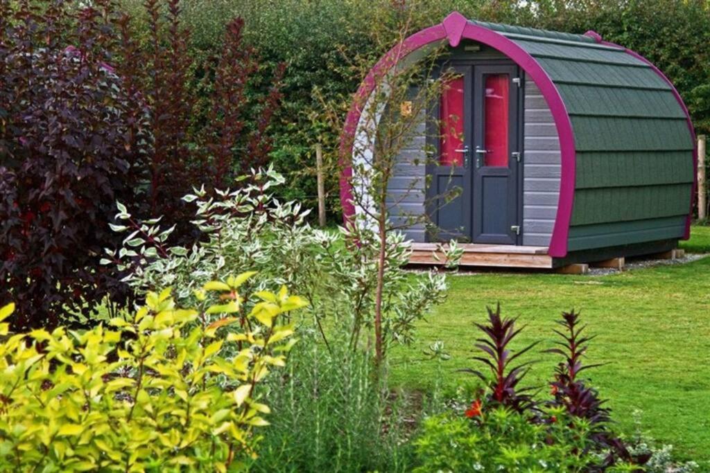 Belle Vista Glamping & Camping York Esterno foto